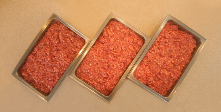 Prepared homemade raw cat food recipe