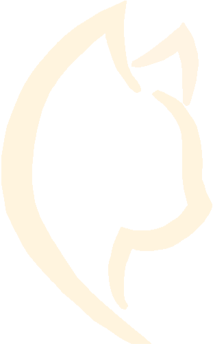 DLuxxy Logo